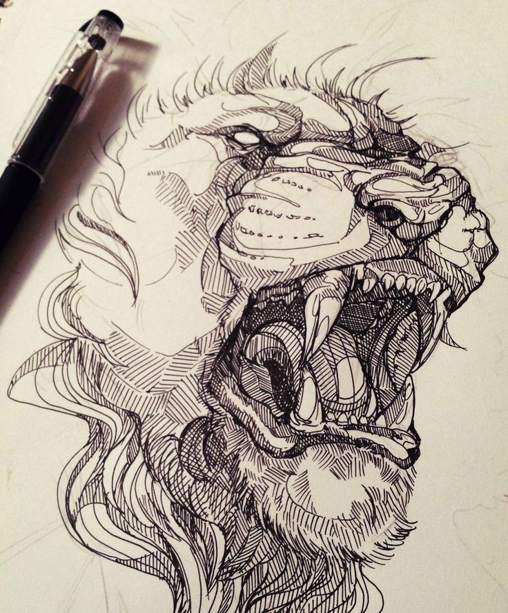 736x889 The 25 Best Lion Drawing Ideas Lion Art Lion Head - Lion Art Sketch