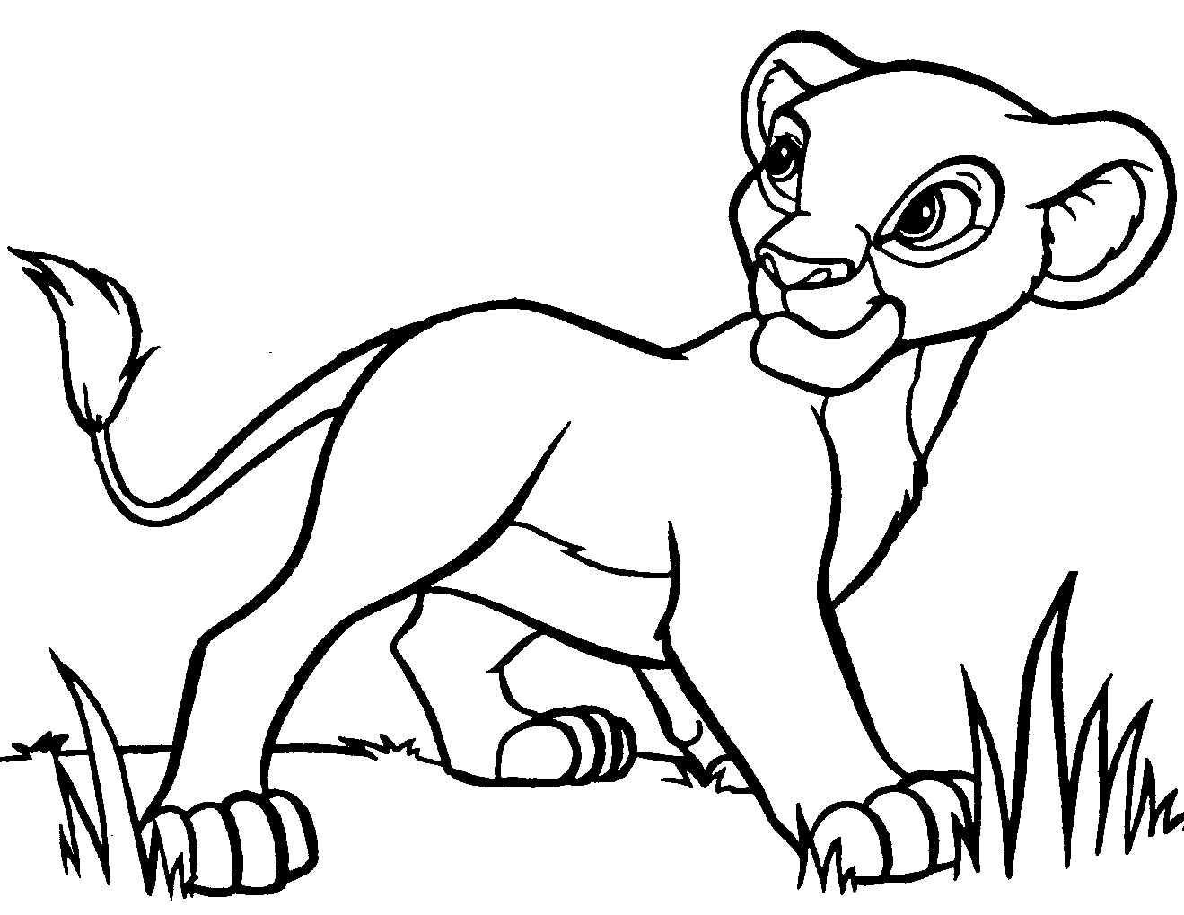 1319x1019 Lion Clipart Drawing ~ Frames ~ Illustrations ~ Hd Images ~ Photo - Lion Cartoon Sketch