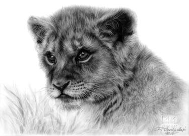 375x271 Lion Cub Painting By Saatchi Art - Lion Cub Sketch