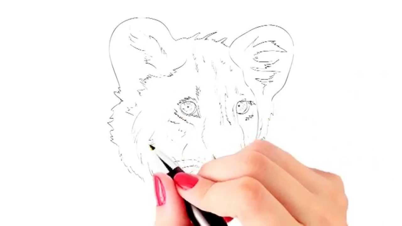 1280x720 How To Draw A Baby Lion Or Lion Cub Face Yzarts Yzarts - Lion Cub Sketch