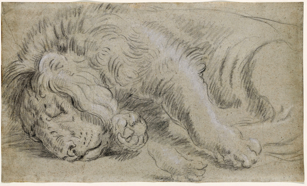 1024x621 Rubens - Lion Den Sketch