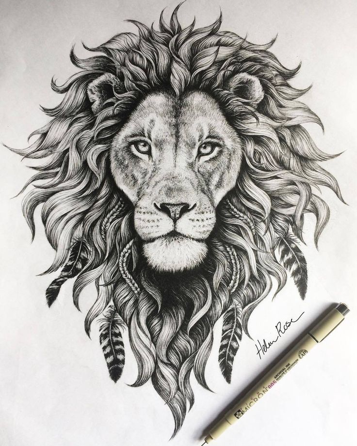 736x920 Lion Drawing, Pencil, Sketch, Colorful, Realistic Art Images - Lion Face Sketch