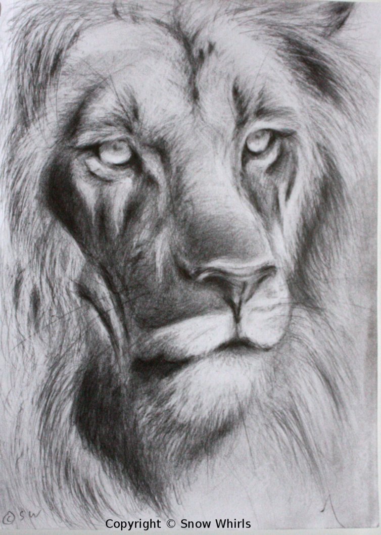 Lion Face Sketch at PaintingValley.com | Explore collection of Lion ...