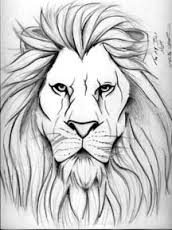 172x230 82 Famous Lion Tattoo Design Amp Sketches - Lion Face Sketch