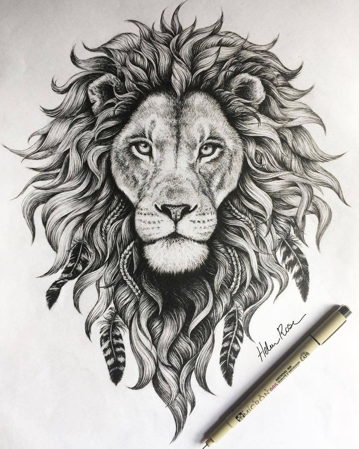 Lion Face Sketch Images at PaintingValley.com | Explore collection of ...