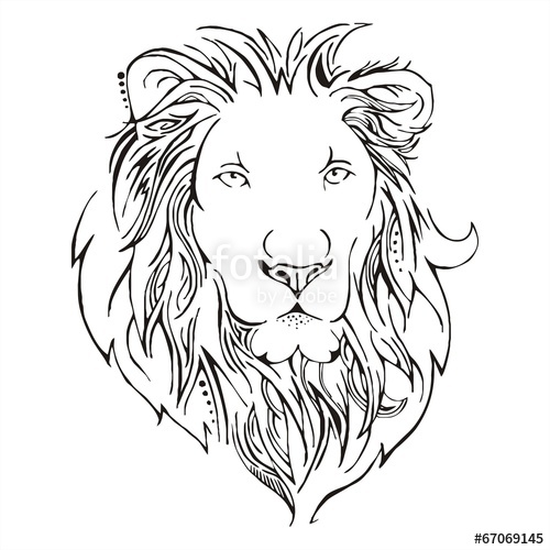 500x500 Lion Head Sketch Vector Stock Image And Royalty Free Vector Files - Lion Face Sketch Images