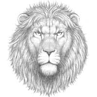 200x200 Leathercraft Library - Lion Head Sketch