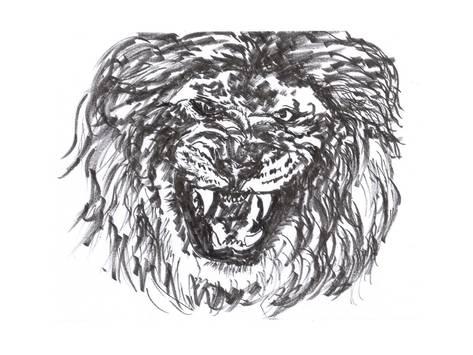 473x355 Lion Head Sketch Posters By Jim80 - Lion Head Sketch