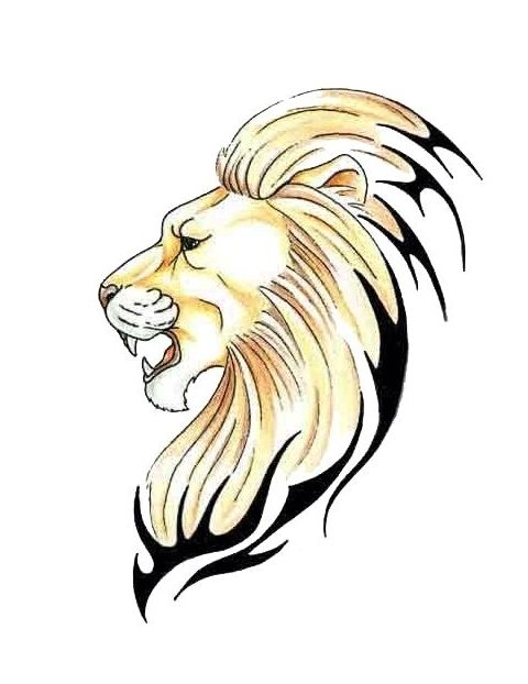 480x622 Drawn Lion Side View - Lion Head Sketch
