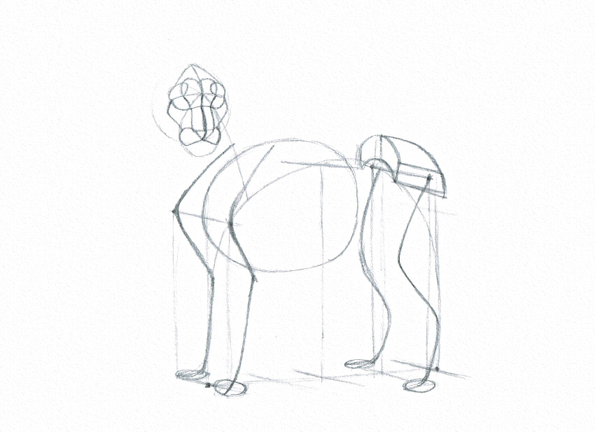 850x617 How To Draw On A Tiny Budget Single Pencil Drawing - Lion Head Sketch Step By Step