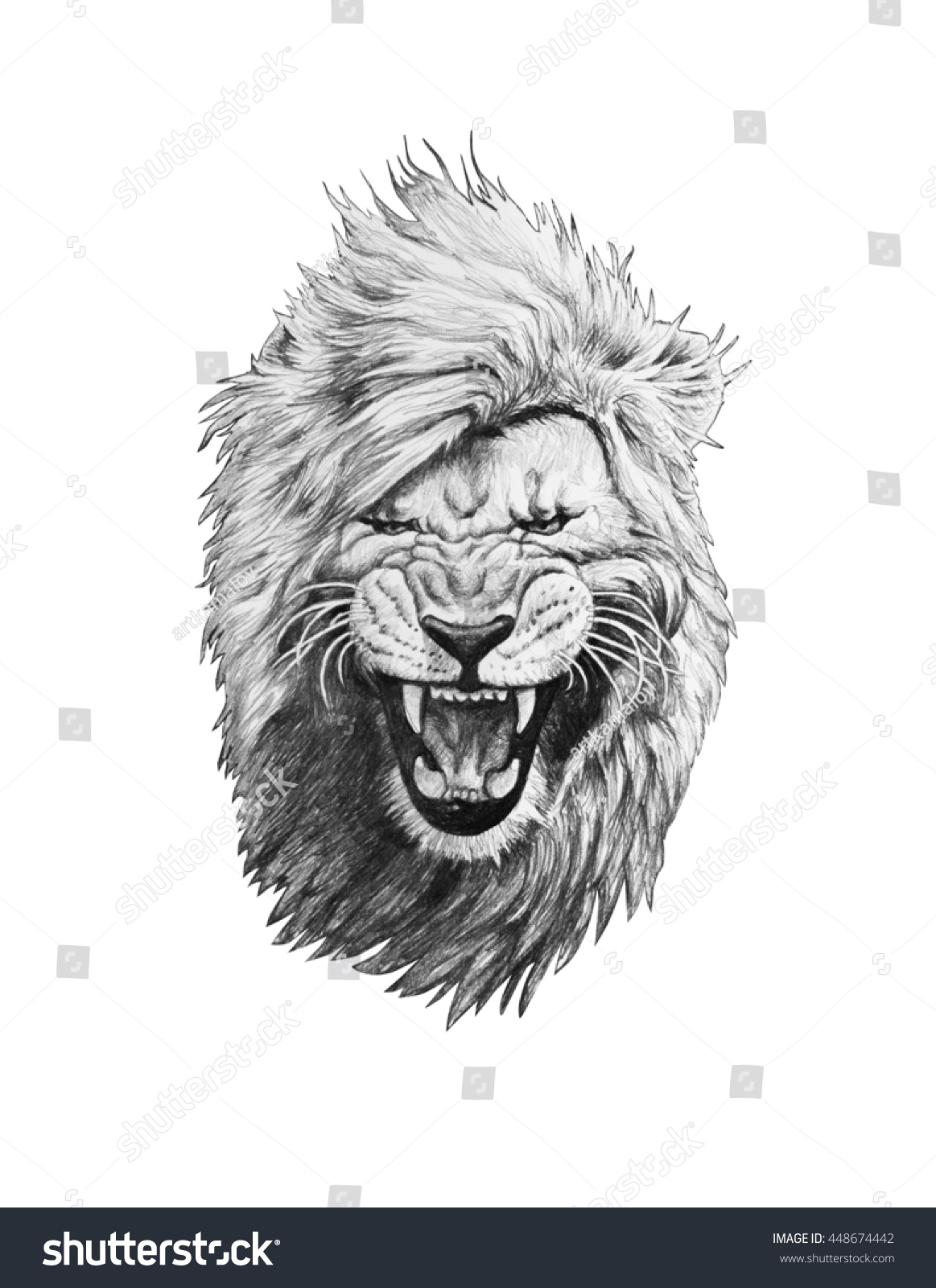 1163x1600 Lion Head Sketch Lion Face Pencil Drawing Pencil Drawing Lion Head - Lion Head Sketch Step By Step