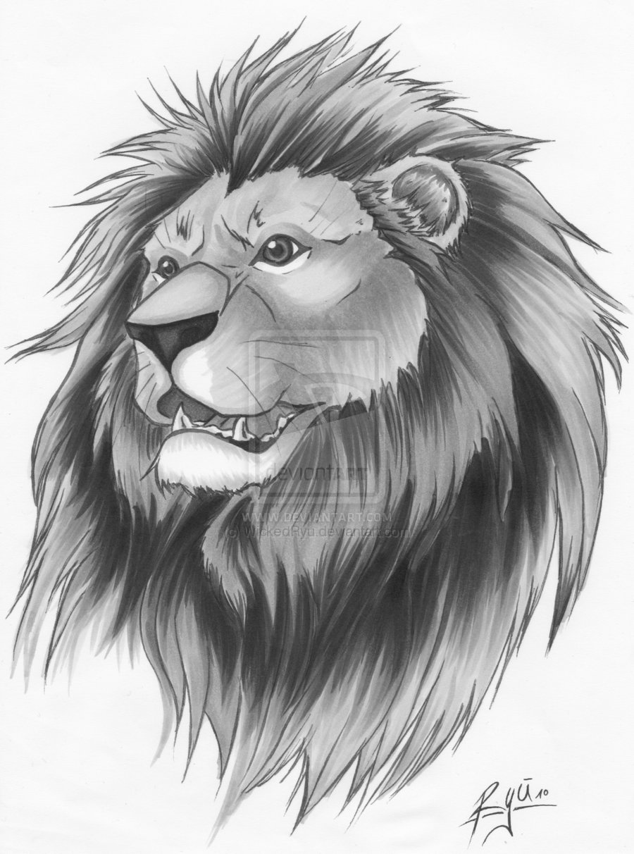 Lion Head Tattoo Sketch at PaintingValley.com | Explore collection of ...