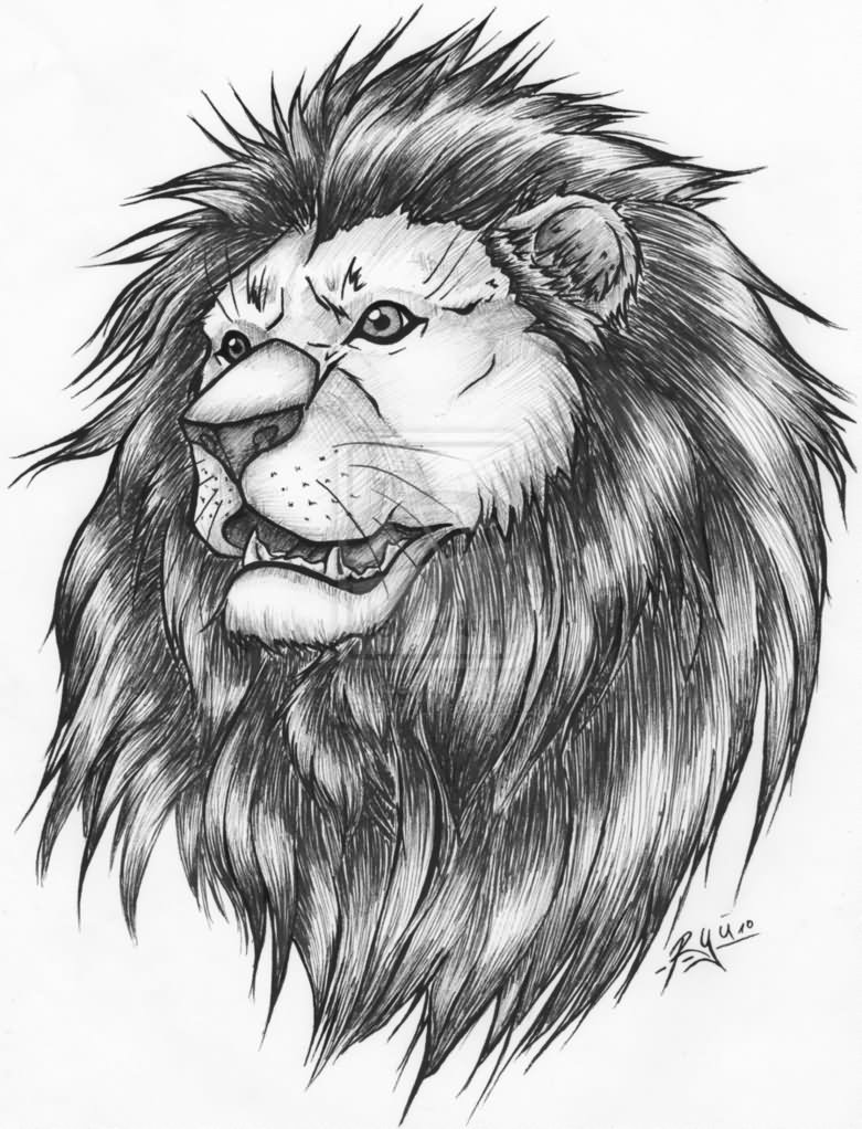 Lion Head Tattoo Sketch at PaintingValley.com | Explore collection of ...