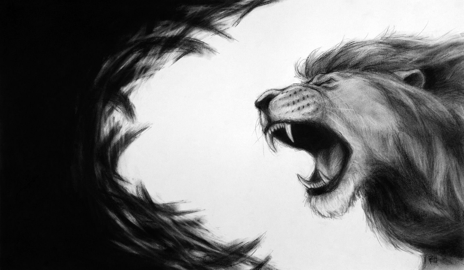 1600x931 Lion Of Judah Art Images Lion Of The Tribe Of Judah Artwork - Lion Of Judah Sketch