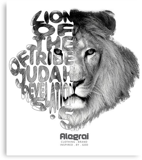 488x550 Lion Of The Tribe Of Judah - Lion Of Judah Sketch