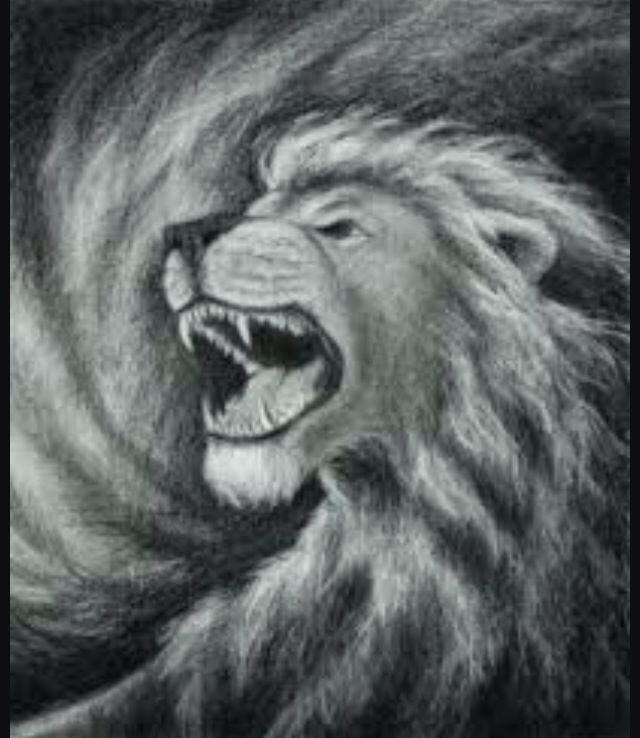 640x738 Sketch Drawings And Paintings Sketches, Drawings - Lion Of Judah Sketch