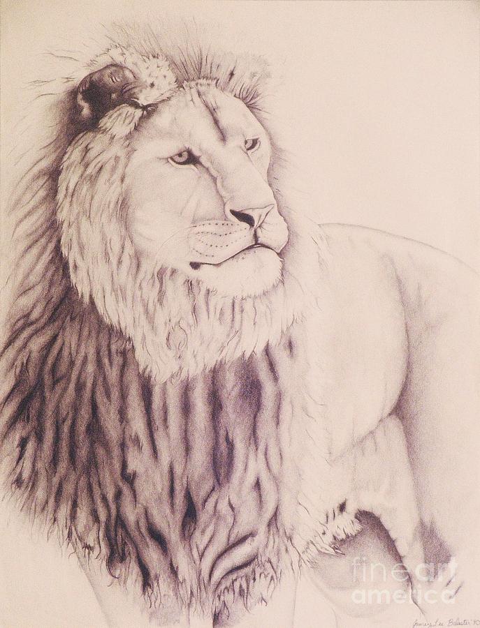 687x900 The Lion Of Judah Drawing By Jamey Balester - Lion Of Judah Sketch