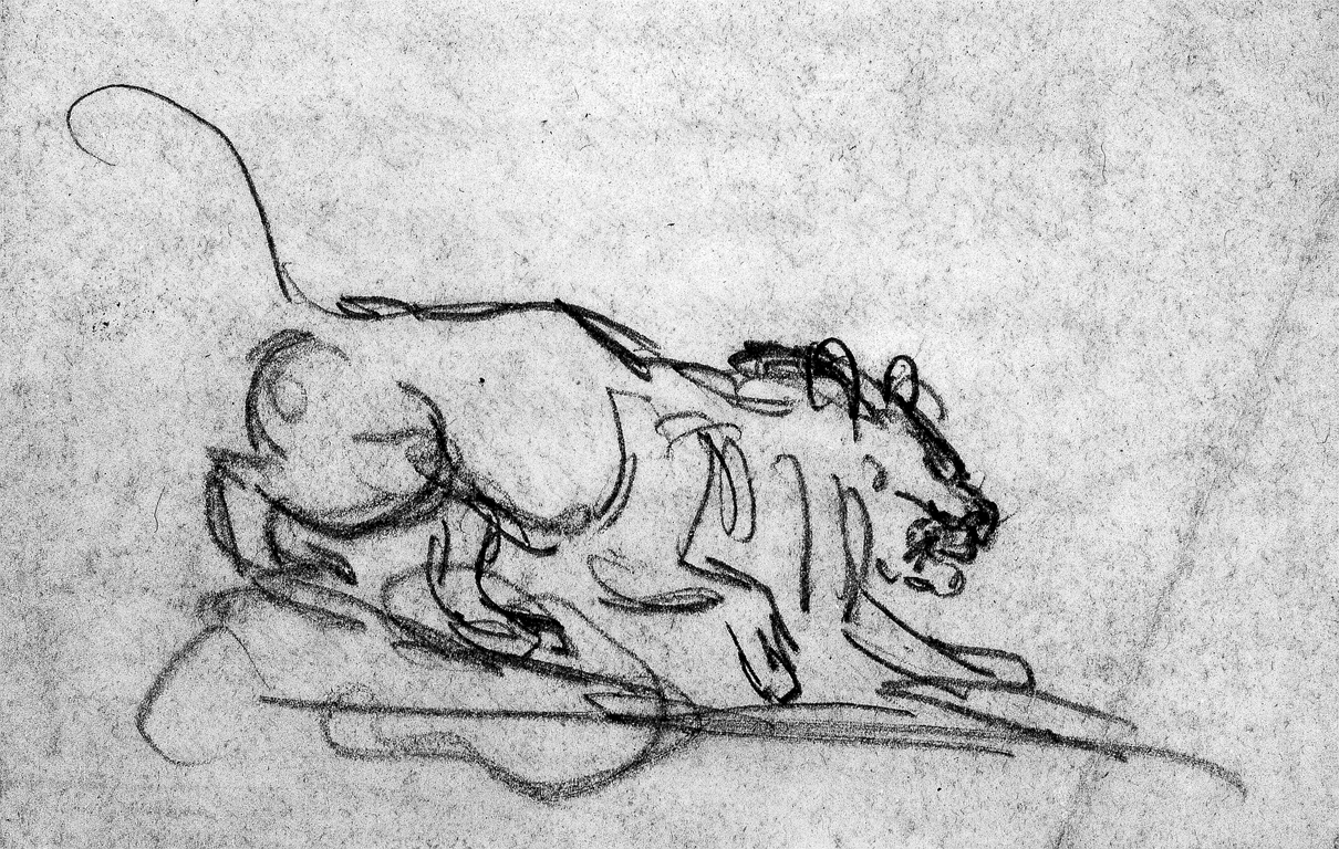 1210x768 Fileantoine Louis Barye - Lion Paw Sketch
