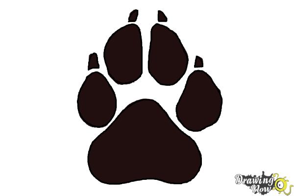 600x400 How To Draw A Paw Print - Lion Paw Sketch
