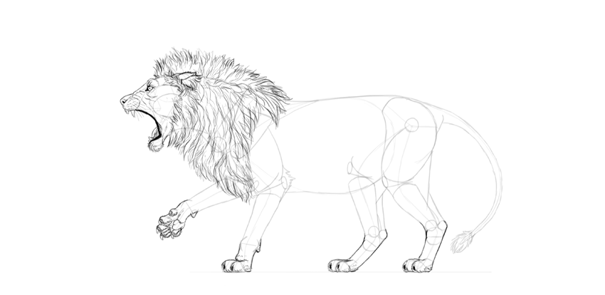 850x414 How To Draw A Roaring Lion Step By Step - Lion Paw Sketch