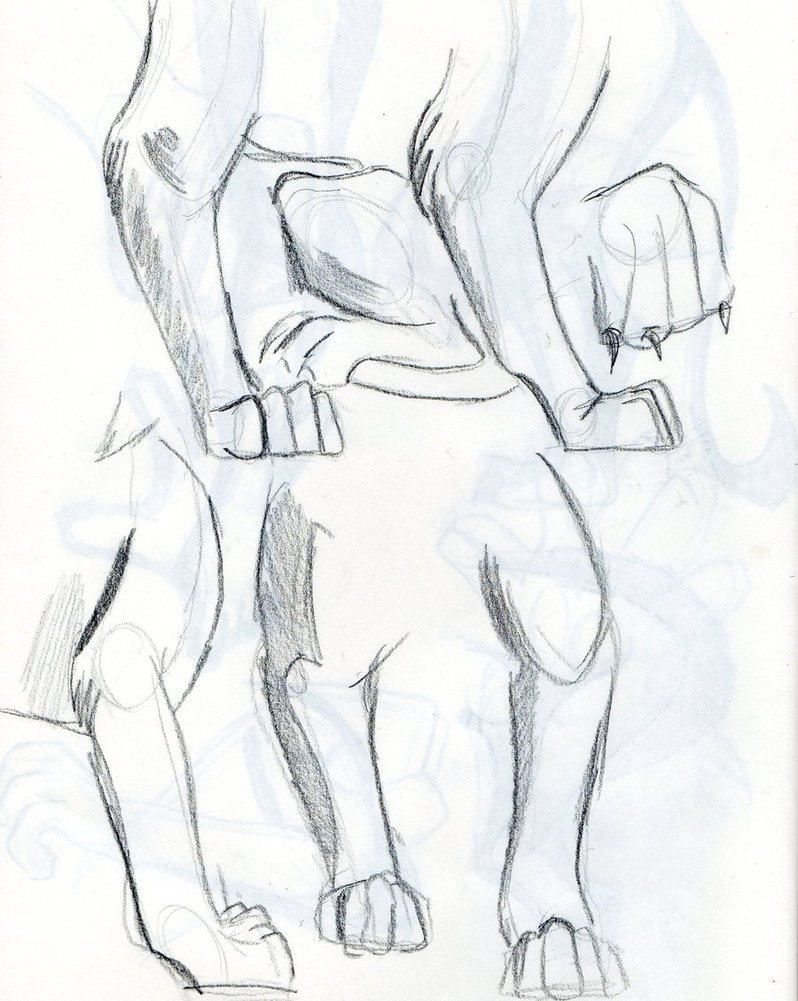 798x1001 Lion Paw And Legs Study By Samoht Lion - Lion Paw Sketch