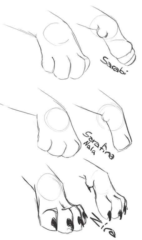 455x768 Different Paw Styles By Dyb The Lion King - Lion Paw Sketch