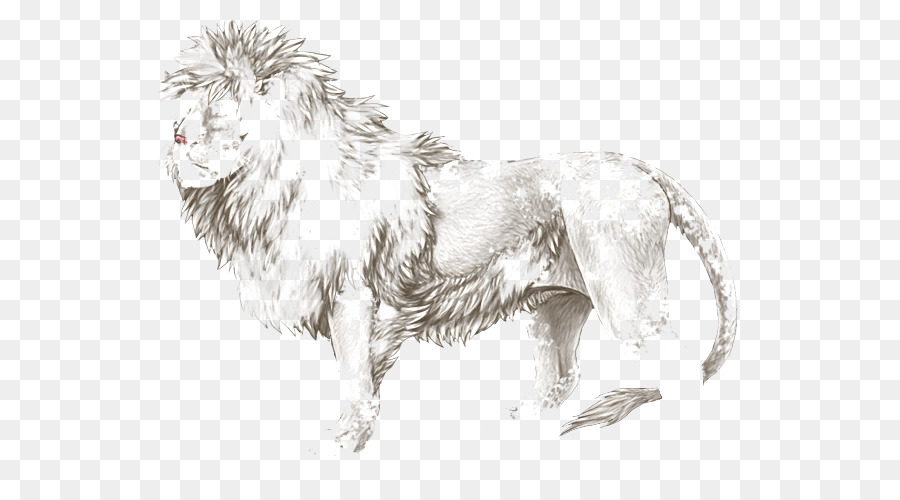 900x500 Dog Breed Cat Lion Paw - Lion Paw Sketch