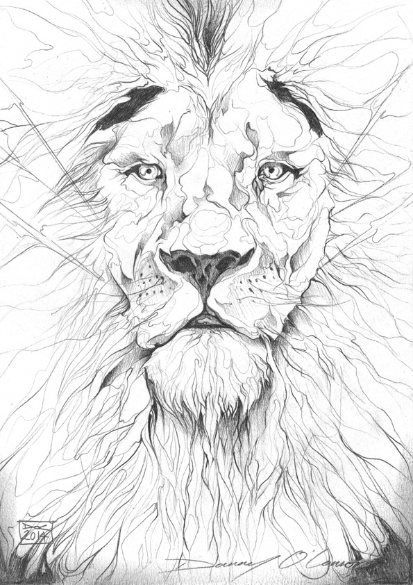 595x842 Lion Pencil Drawing By Art By Doc - Lion Pencil Sketch