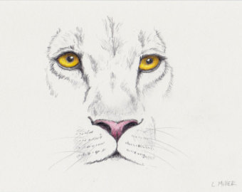 340x270 Lion Pencil Drawing Etsy - Lion Pencil Sketch