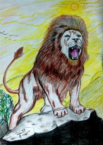 356x500 Colour Pencil Sketch - Lion Pencil Sketch