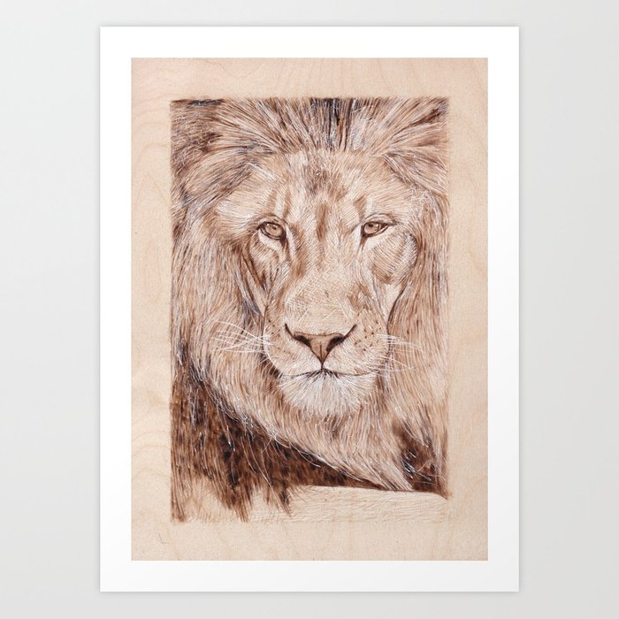 700x700 Lion Portrait - Lion Portrait Sketch