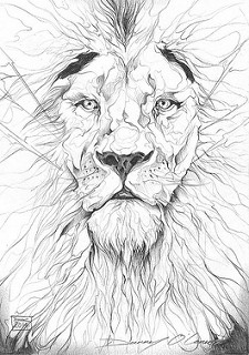 225x320 Lion Portrait Sketch Shop Follow - Lion Portrait Sketch