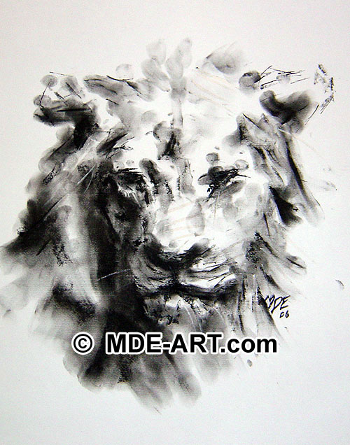 500x636 Charcoal Drawing Of A Lion Animal Portrait Art Gallery - Lion Portrait Sketch