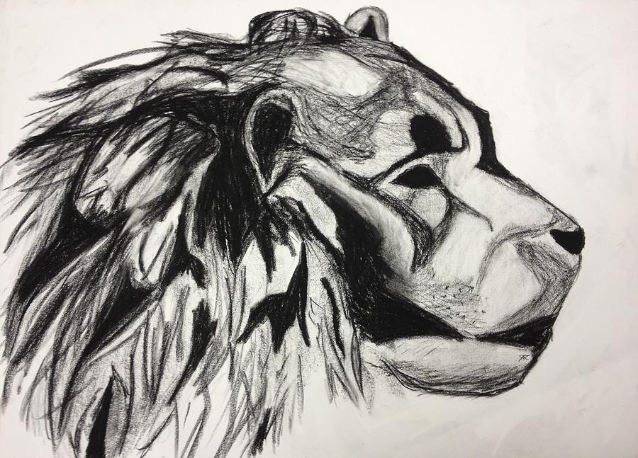 900x647 Lion Profile Drawing By Freddie Grovin - Lion Profile Sketch