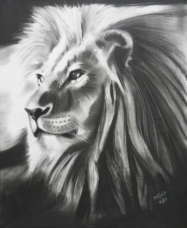 736x900 Lion Profile Drawing By Gretel Solf - Lion Profile Sketch