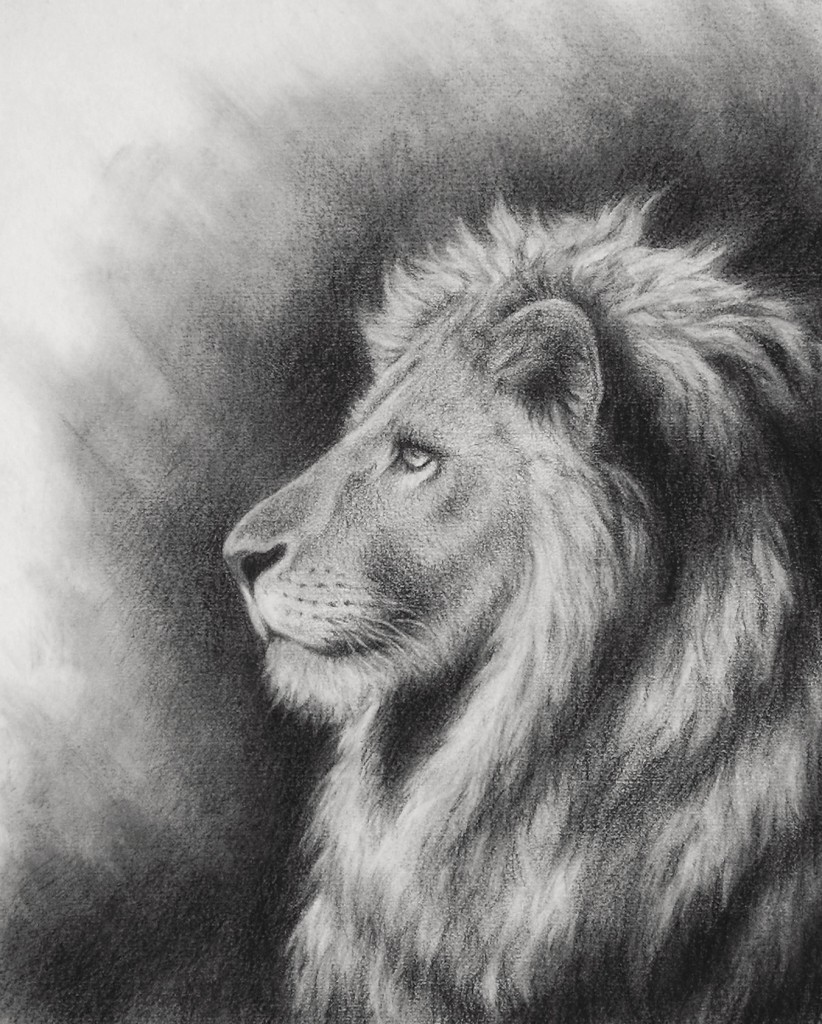 Lion Profile Sketch at PaintingValley.com | Explore collection of Lion ...