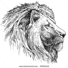 236x234 70 Best Lion Tatts Images Abstract Art Tattoo - Lion Profile Sketch