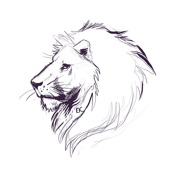 Lion Profile Sketch at PaintingValley.com | Explore collection of Lion ...