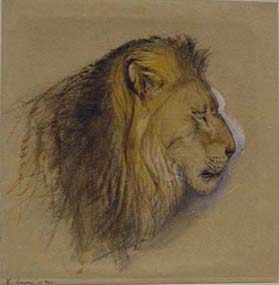 279x285 Ruskin Lion Studies - Lion Profile Sketch