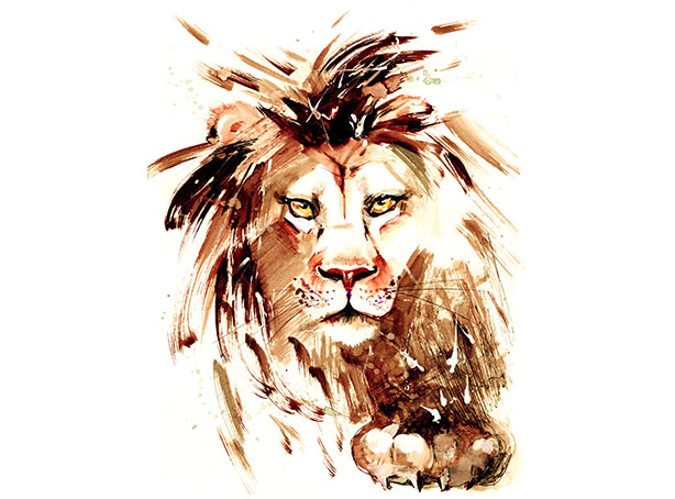 614x454 T609 Regular Fit Printed T Shirt Lion - Lion Profile Sketch