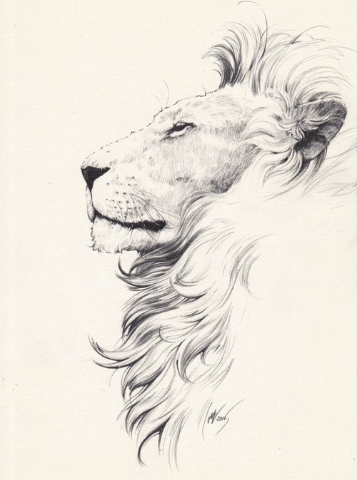 500x673 Tattoo Lion Uploaded By Lovisa On We Heart It - Lion Profile Sketch