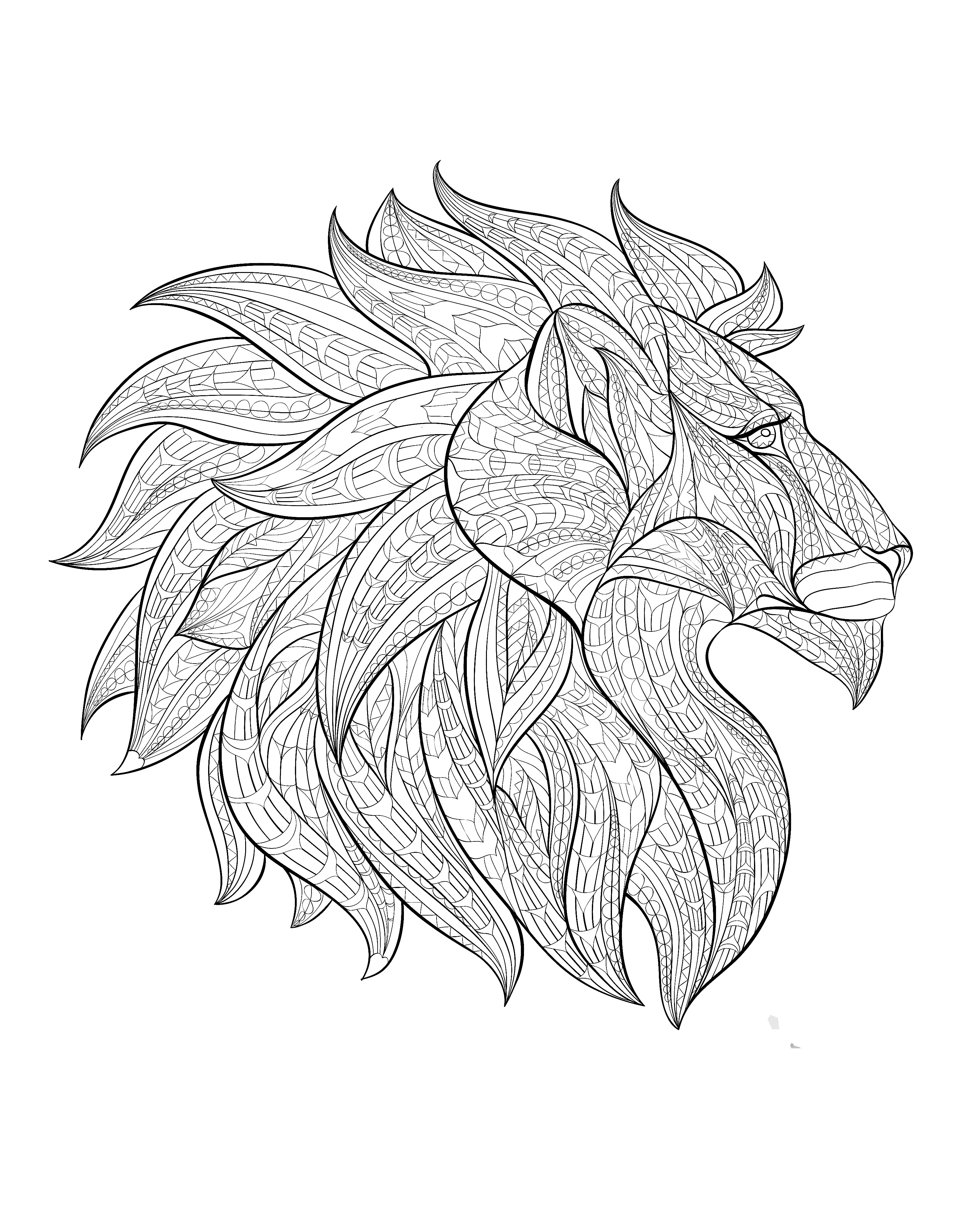 3174x3909 Africa Lion Head Profile - Lion Profile Sketch