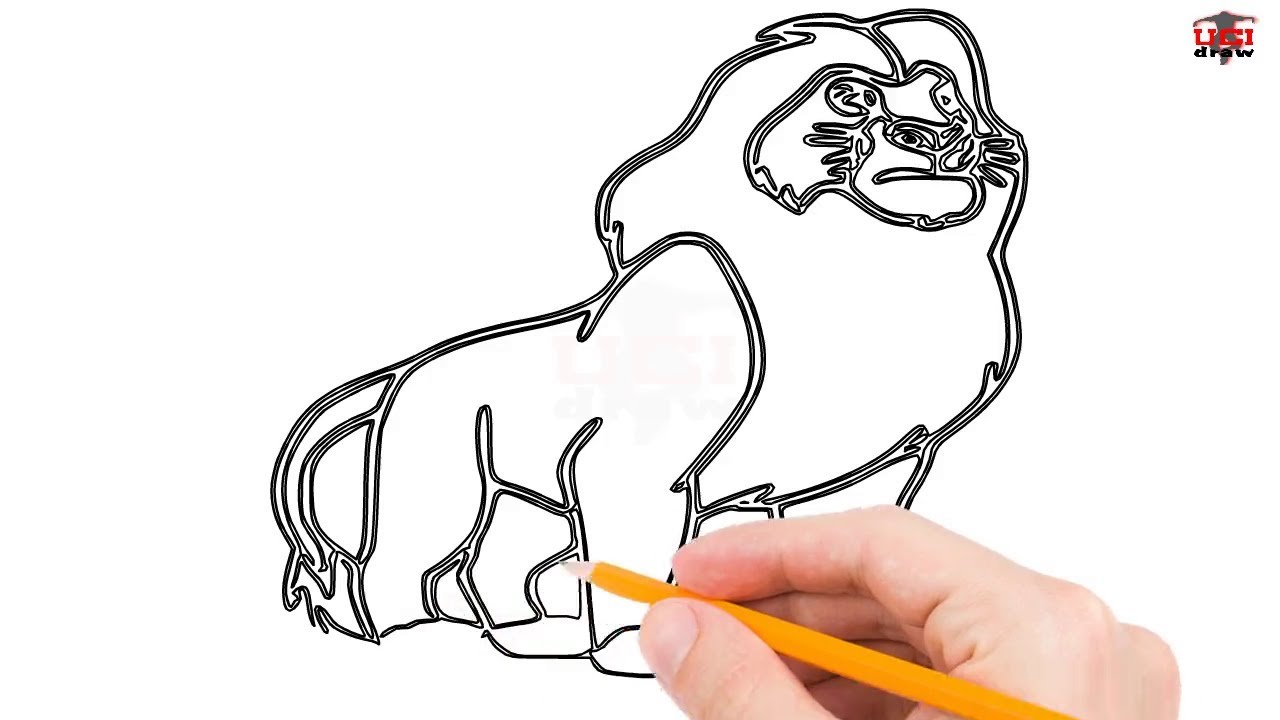 1280x720 How To Draw The Lion King Step By Step Easy For Beginnerskids - Lion Simple Sketch