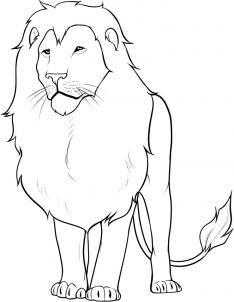234x302 How To Draw A Lion In 13 Steps How To Draw - Lion Simple Sketch