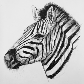 280x280 Lion Sketch Arttutor - Lion Sketch