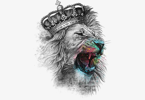 564x390 Lions Head, Head Clipart, Painted Lion, Sketch Png Image And - Lion Sketch