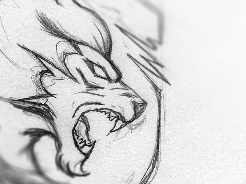 800x600 Fierce Lion Sketch By Benjamin - Lion Sketch