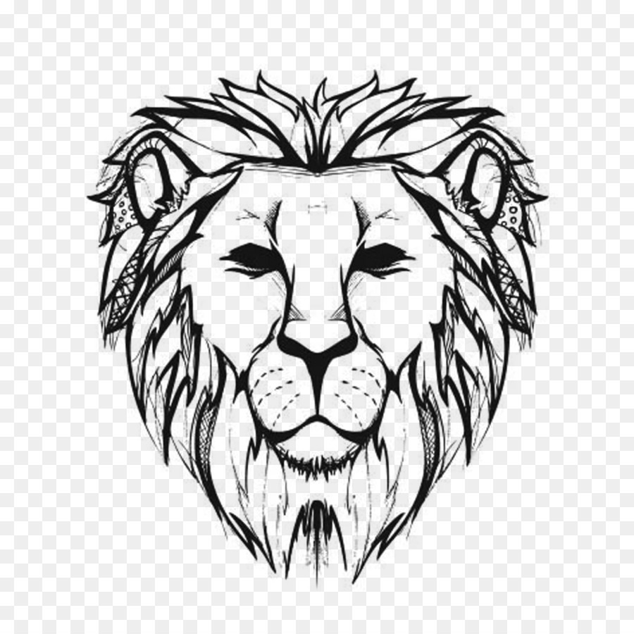 900x900 Lion Drawing Line Art Sketch - Lion Sketch Art