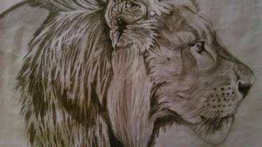 375x211 Lion Pencil Sketch Drawing By Sukrit Kapil Saatchi Art - Lion Sketch Art