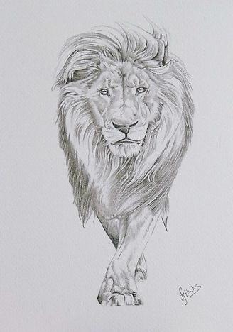 328x468 Artwork Web Lion Sketch Graffiti Design - Lion Sketch Art